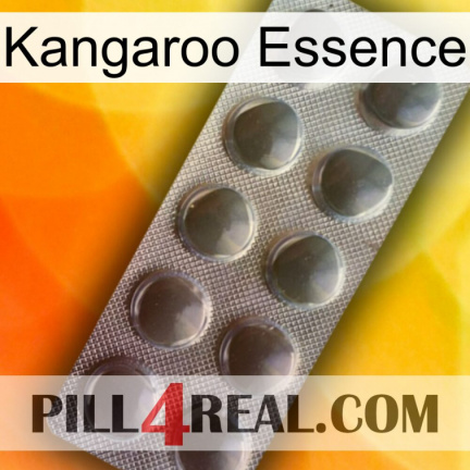 Kangaroo Essence 30